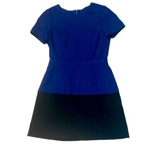 BCBG Black and Blue dress